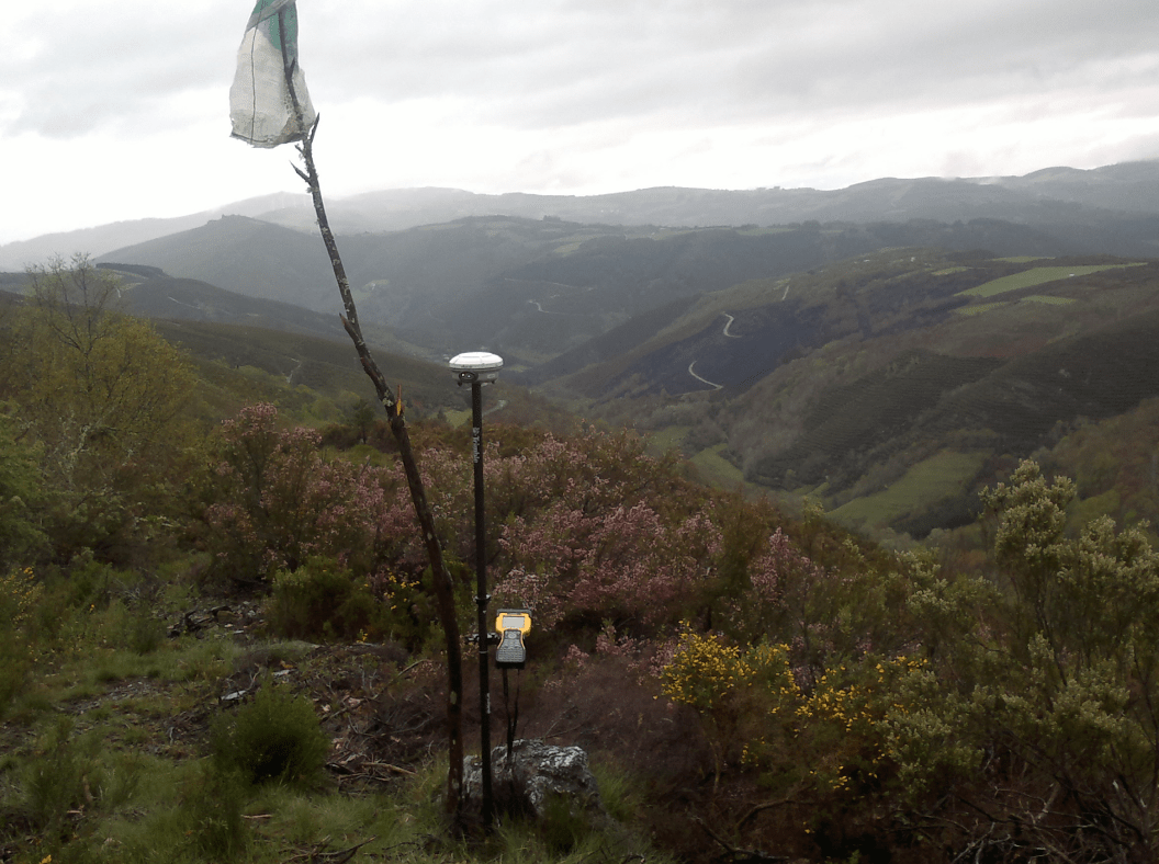 Consultoría y gestión