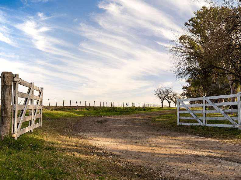 Gestión de subvenciones