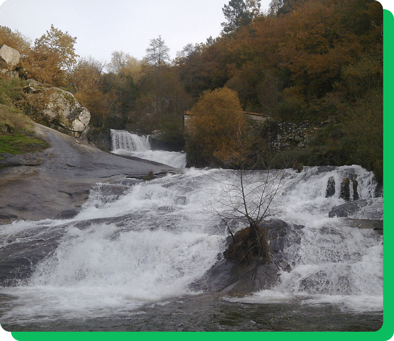 Gestión del aprovechamiento del agua