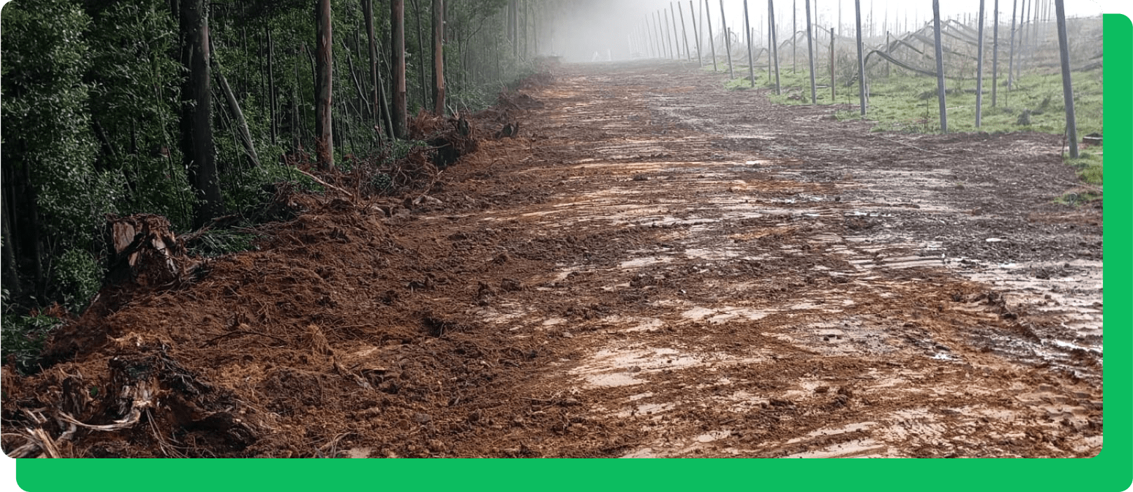 Proyectos de ejecución