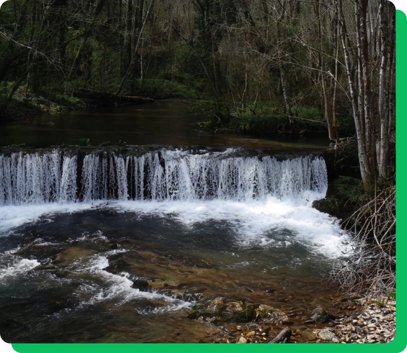 Gestión del aprovechamiento 2