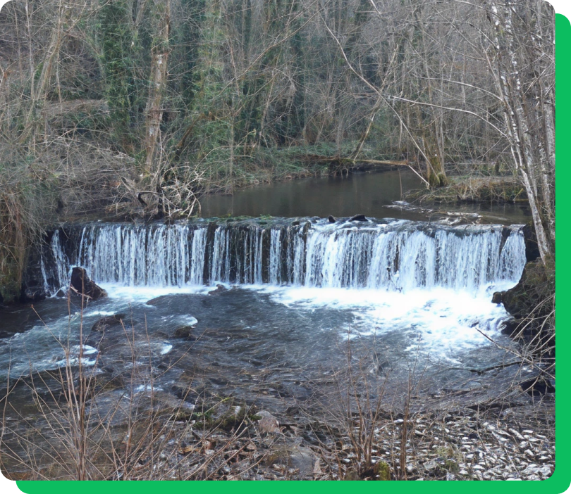Gestión del aprovechamiento 3