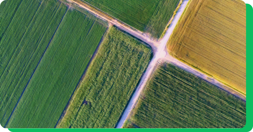 concentración parcelaria