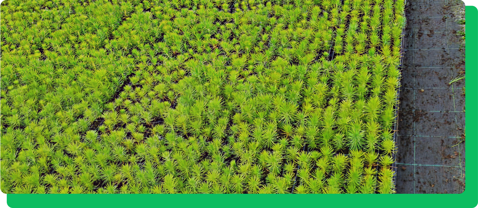 proyectos de ejecución 2