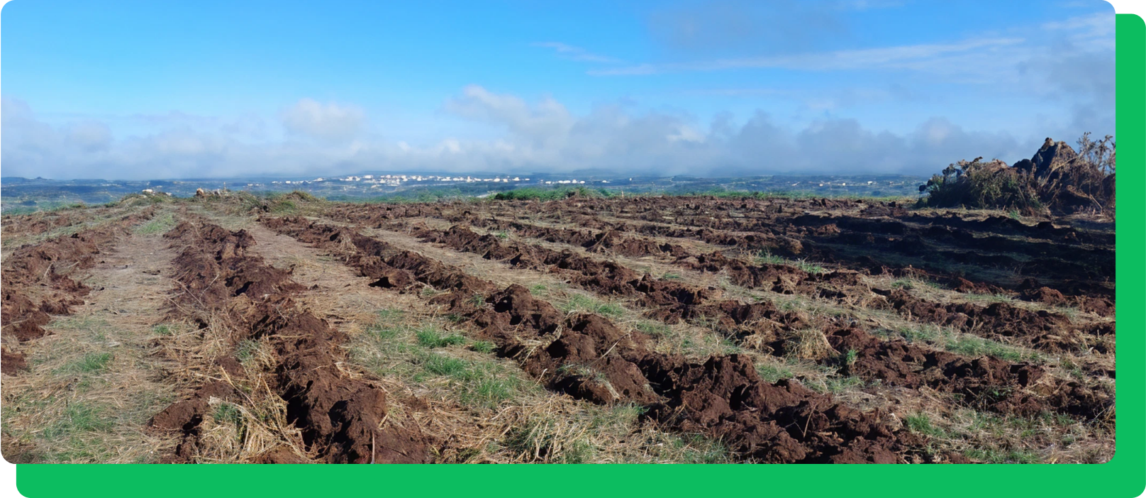 proyectos de ejecución 3